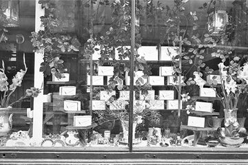 We are expanding - back to our roots!